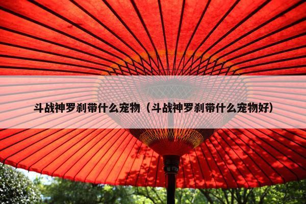 斗战神罗刹带什么宠物（斗战神罗刹带什么宠物好）