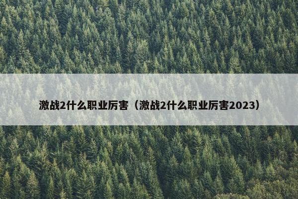 激战2什么职业厉害（激战2什么职业厉害2023）