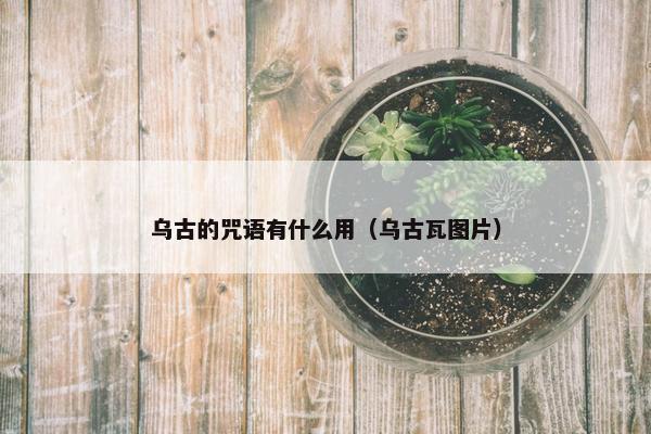 乌古的咒语有什么用（乌古瓦图片）