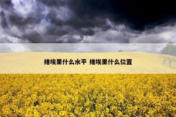 维埃里什么水平 维埃里什么位置