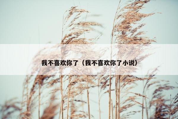 我不喜欢你了（我不喜欢你了小说）