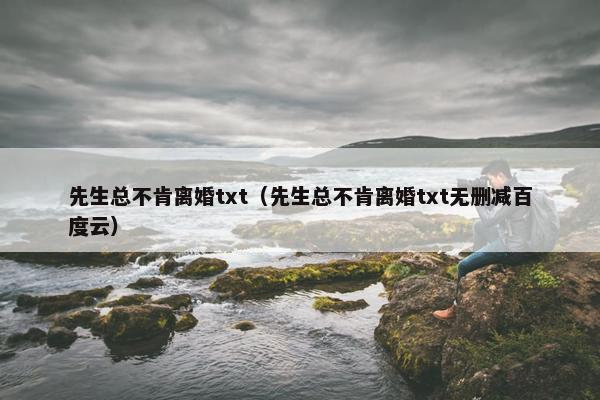 先生总不肯离婚txt（先生总不肯离婚txt无删减百度云）