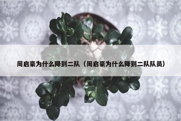 周启豪为什么降到二队（周启豪为什么降到二队队员）