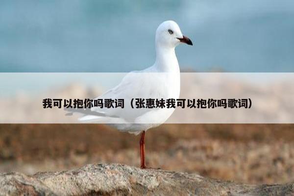 我可以抱你吗歌词（张惠妹我可以抱你吗歌词）