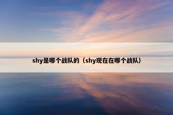 shy是哪个战队的（shy现在在哪个战队）