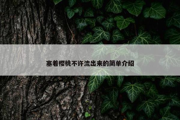 塞着樱桃不许流出来的简单介绍