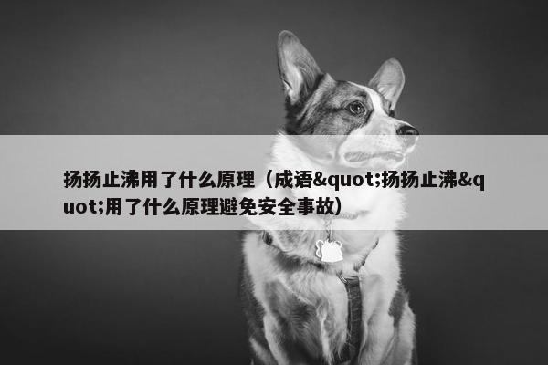 扬扬止沸用了什么原理（成语"扬扬止沸"用了什么原理避免安全事故）