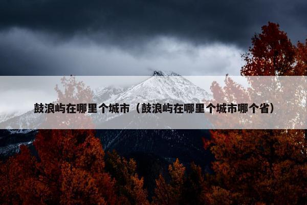 鼓浪屿在哪里个城市（鼓浪屿在哪里个城市哪个省）