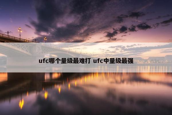 ufc哪个量级最难打 ufc中量级最强