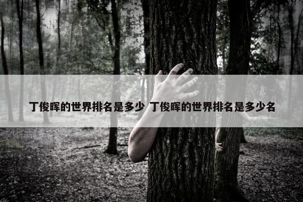 丁俊晖的世界排名是多少 丁俊晖的世界排名是多少名