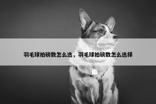 羽毛球拍磅数怎么选，羽毛球拍磅数怎么选择