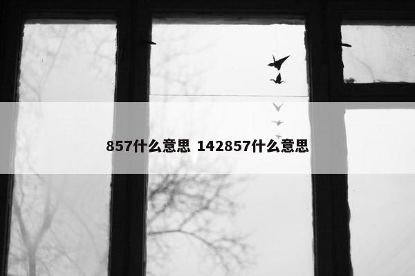 857什么意思 142857什么意思