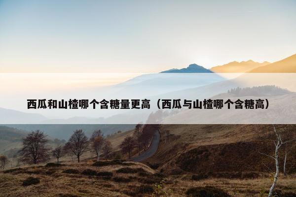 西瓜和山楂哪个含糖量更高（西瓜与山楂哪个含糖高）