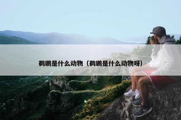 鹈鹕是什么动物（鹈鹕是什么动物呀）