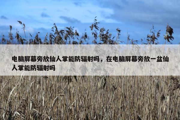 电脑屏幕旁放仙人掌能防辐射吗，在电脑屏幕旁放一盆仙人掌能防辐射吗