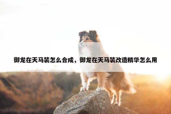 御龙在天马装怎么合成，御龙在天马装改造精华怎么用