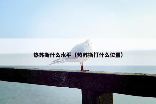 热苏斯什么水平（热苏斯打什么位置）