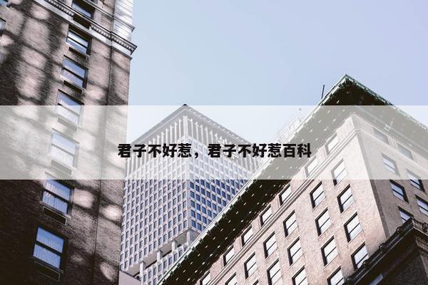 君子不好惹，君子不好惹百科