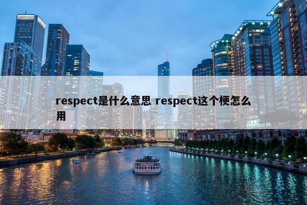 respect是什么意思 respect这个梗怎么用