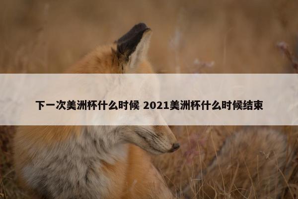 下一次美洲杯什么时候 2021美洲杯什么时候结束