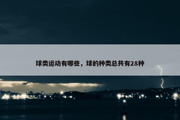 球类运动有哪些，球的种类总共有28种