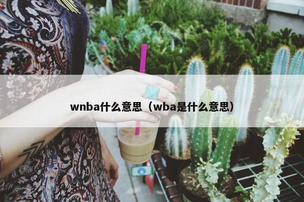 wnba什么意思（wba是什么意思）