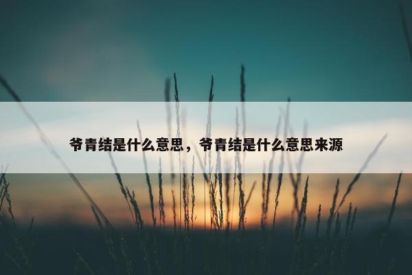 爷青结是什么意思，爷青结是什么意思来源