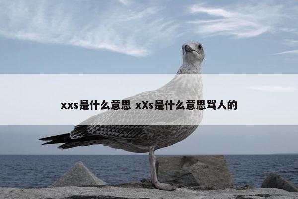 xxs是什么意思 xXs是什么意思骂人的