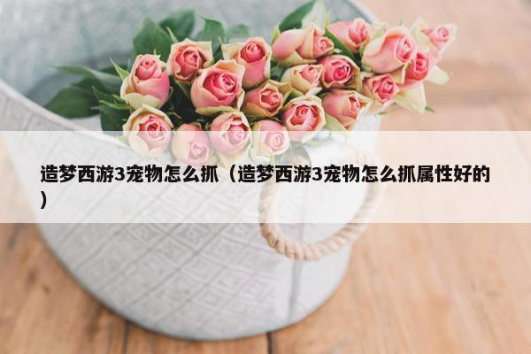 造梦西游3宠物怎么抓（造梦西游3宠物怎么抓属性好的）