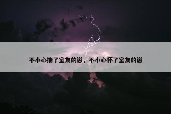 不小心揣了室友的崽，不小心怀了室友的崽