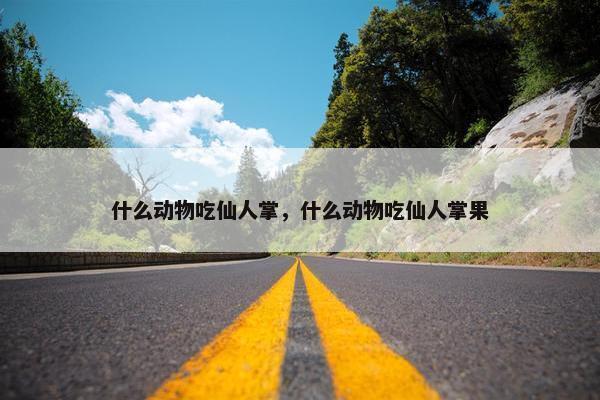 什么动物吃仙人掌，什么动物吃仙人掌果