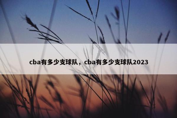 cba有多少支球队，cba有多少支球队2023