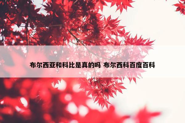 布尔西亚和科比是真的吗 布尔西科百度百科