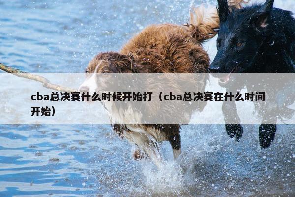 cba总决赛什么时候开始打（cba总决赛在什么时间开始）