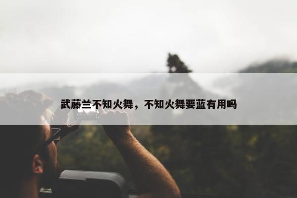 武藤兰不知火舞，不知火舞要蓝有用吗