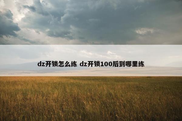 dz开锁怎么练 dz开锁100后到哪里练