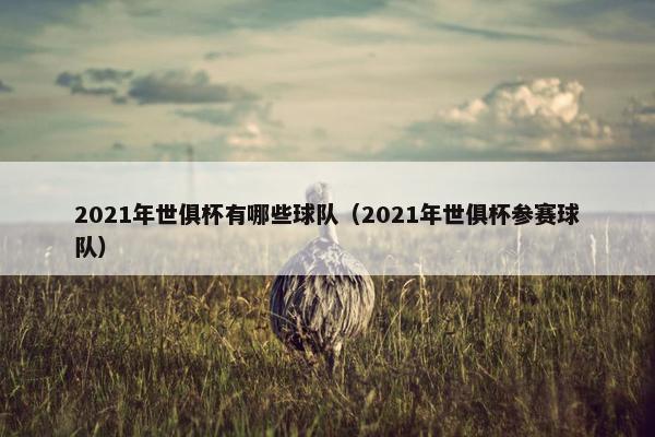 2021年世俱杯有哪些球队（2021年世俱杯参赛球队）