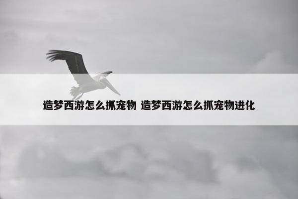 造梦西游怎么抓宠物 造梦西游怎么抓宠物进化