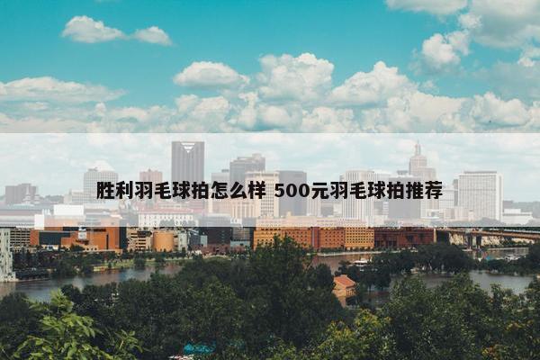 胜利羽毛球拍怎么样 500元羽毛球拍推荐