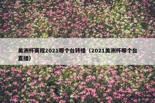 美洲杯赛程2021哪个台转播（2021美洲杯哪个台直播）