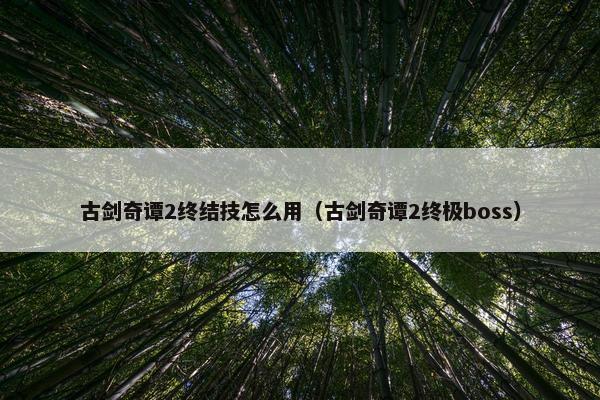 古剑奇谭2终结技怎么用（古剑奇谭2终极boss）