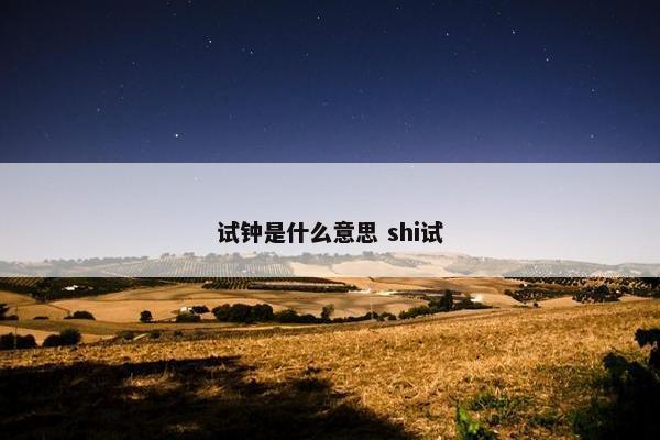 试钟是什么意思 shi试