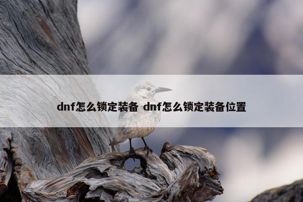 dnf怎么锁定装备 dnf怎么锁定装备位置