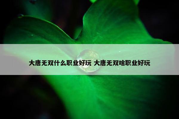 大唐无双什么职业好玩 大唐无双啥职业好玩