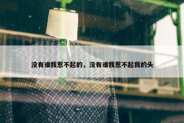 没有谁我惹不起的，没有谁我惹不起我的头