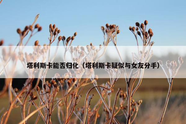 塔利斯卡能否归化（塔利斯卡疑似与女友分手）