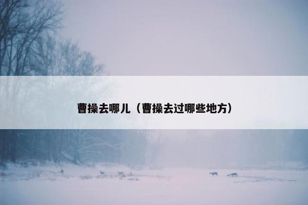 曹操去哪儿（曹操去过哪些地方）