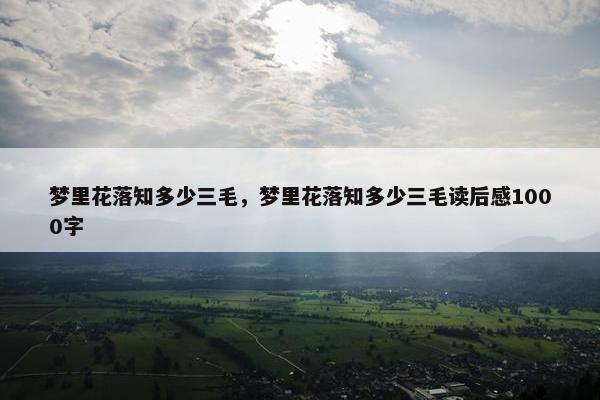 梦里花落知多少三毛，梦里花落知多少三毛读后感1000字