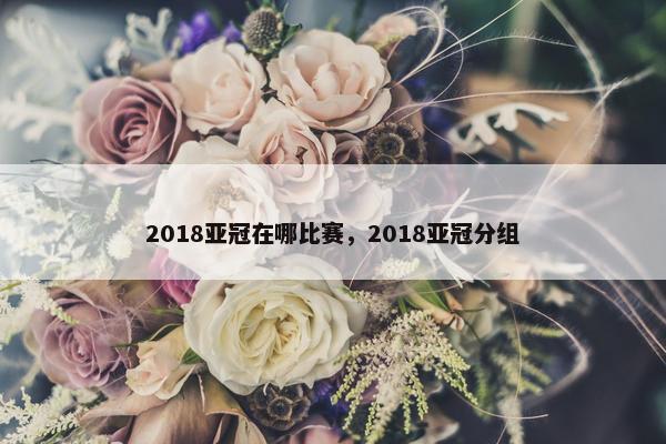 2018亚冠在哪比赛，2018亚冠分组