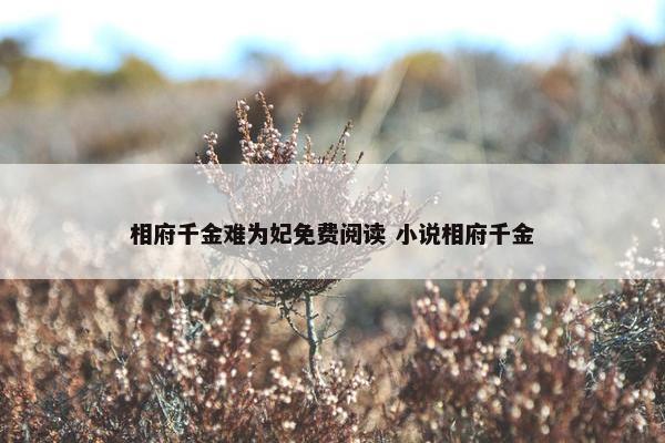 相府千金难为妃免费阅读 小说相府千金